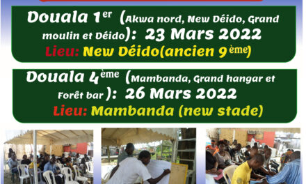 Conseils de quartiers Douala 1ère et douala 4ème