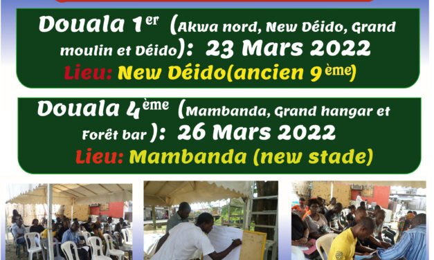 Conseils de quartiers Douala 1ère et douala 4ème