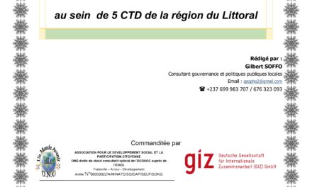 RAPPORT FINAL DE L’ETUDE DIAGNOSTIC SUR LES  MODES/FORMATS DE PARTICIPATION  CITOYENNE