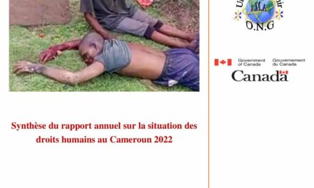 Droit de l’homme : plus de 759 personnes tuées dans des actes de  violences au Cameroun en 2022