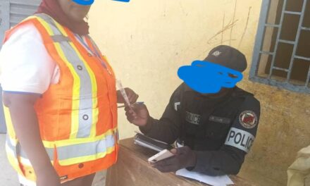 élection 2025 : des observateurs de l’ONG Un Monde Avenir interpelés