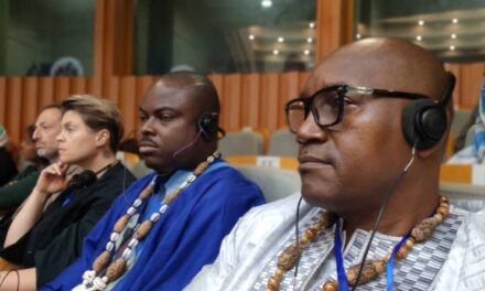 situation des droits de l&rsquo;homme au Cameroun: la société civile en parle a BANJUL